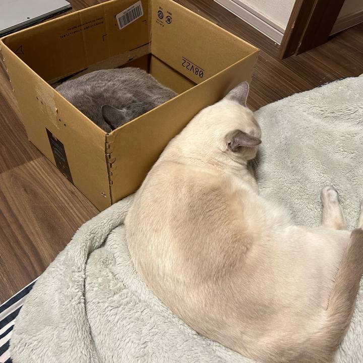 4aada1f1 c619 4476 8322 965f3475992f 1737276213246