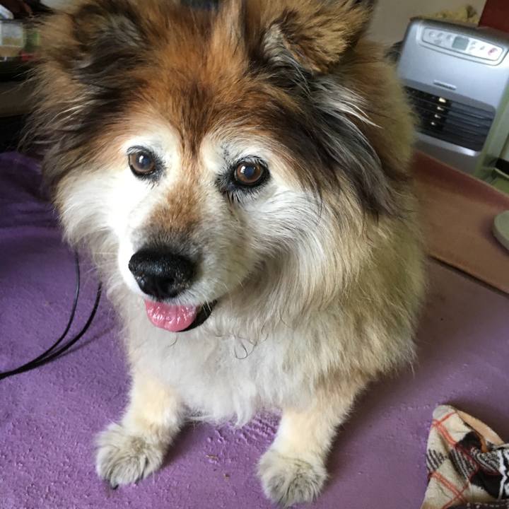 4aadfe32 2832 48c0 b6ab 862ec24bd5db 1581900123326