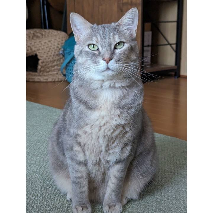 4aae10e4 0a04 4c8f b50c e4a55146a0b6 1715832234582