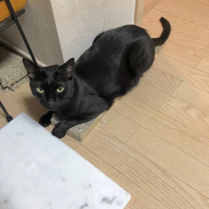 4aae1da2 7fa0 42c7 bfb5 f9b3fef6766b 1598359733767