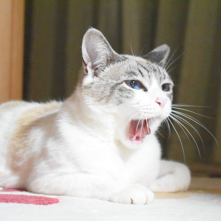 4aae4048 ac59 4eca 82c3 3d16789d0ce5 1526469787612