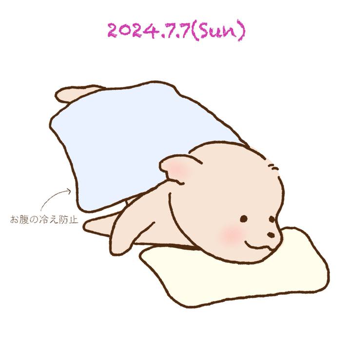 4aae47c9 e4f8 4ac3 a390 68a6517496a6 1720356034990