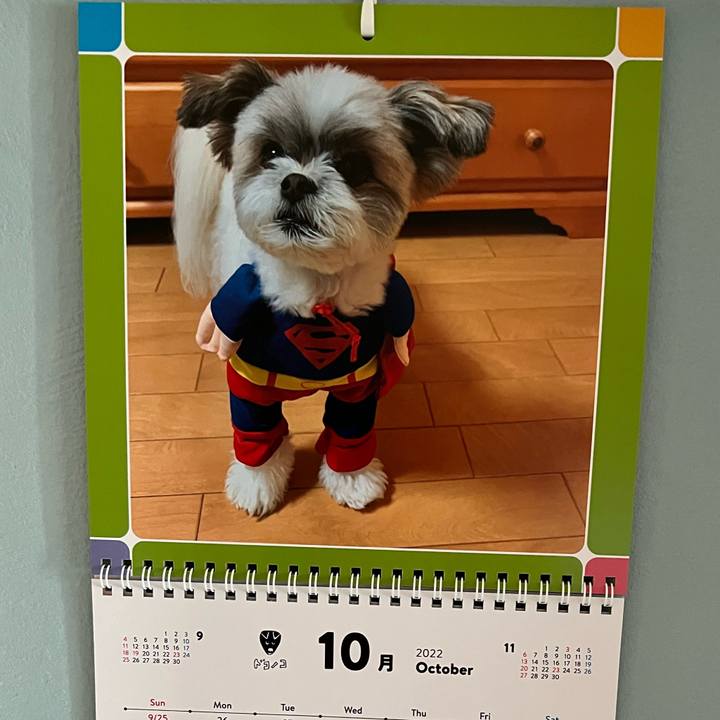 4aae9233 d886 4a7d af9f c116fef54347 1664580260114