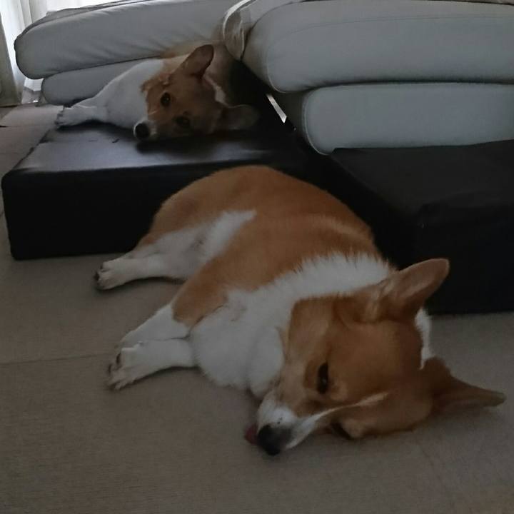 4aaeab02 57d5 4e2c 8880 02c0e75e65cd 1535323233091