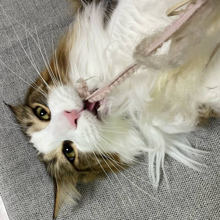 4aaeb343 77fe 444a bec0 b0c878d92b0e 1674939815979