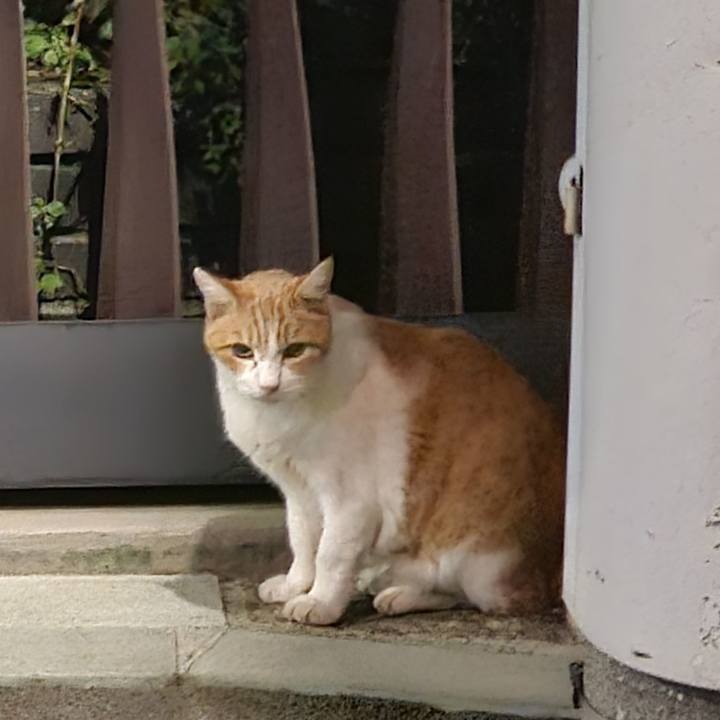 4aaeb57d a438 4ffb 966e 98b269ee9f2c 1730774681893