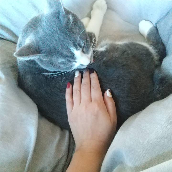 4aaec4a6 b746 43d6 bfe5 bf897f440dfe 1642294453150