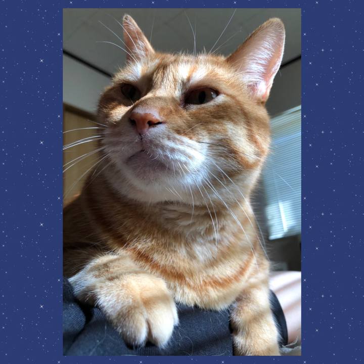 4aaf0c24 034e 4ec2 aaf1 f03329d704c3 1656108235194