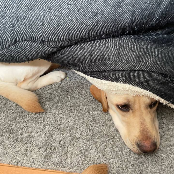 4aaf3d5b 1b42 4690 8cce daa29b70f2bb 1646180147712