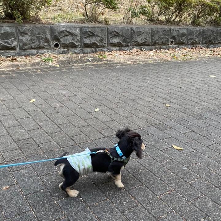 4aaf4701 8510 4103 9626 a226e1c4867e 1668388922309