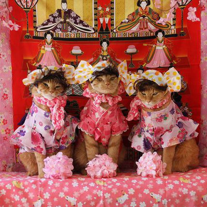 4aaf97c5 88a2 470a b760 72430f34c361 1583202167437