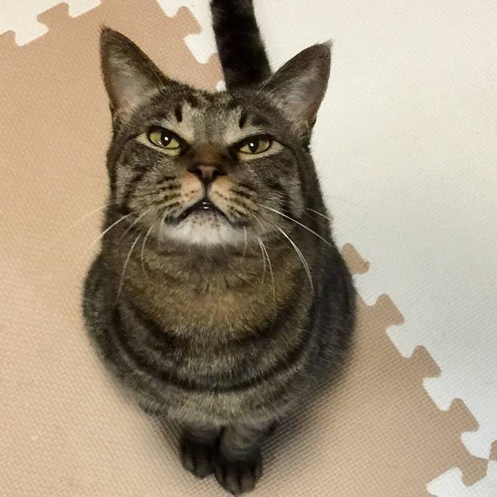 4aafa3db 909a 4bf7 89a3 a65424b71a36 1510228075327