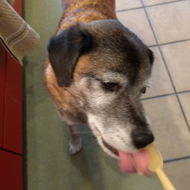 4aafadbf b71b 43e1 8d51 e13c5c33a81f 1518672929643