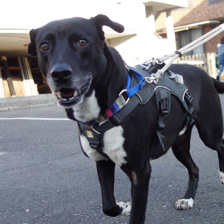 4aaffbaa 8a99 404f 8e65 b49f29b9cb6e 1647044895069