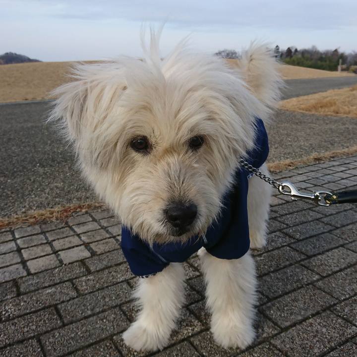 4ab015e8 dd06 4820 ba71 ccad322040c6 1577026223824