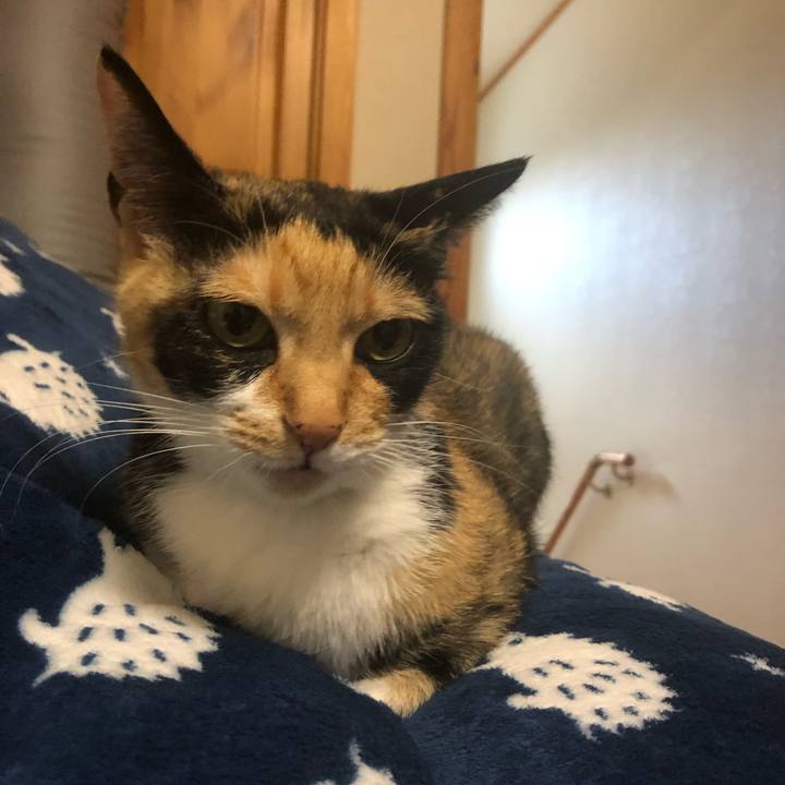 4ab017b4 1a4f 48c3 b864 09a2f55a63eb 1556942013280