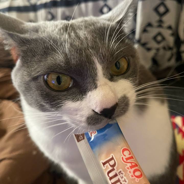 4ab01b76 91be 437f 9cd0 c712b5949723 1673195804573