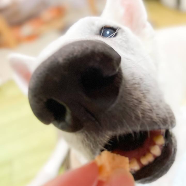 4ab02137 fff7 42df 9868 0a70fd13c682 1672810384191