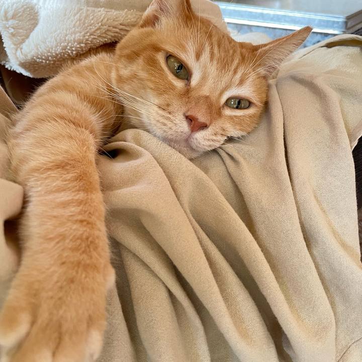 4ab03a79 91e4 4660 99a2 f750e1e6d8f4 1772336127296