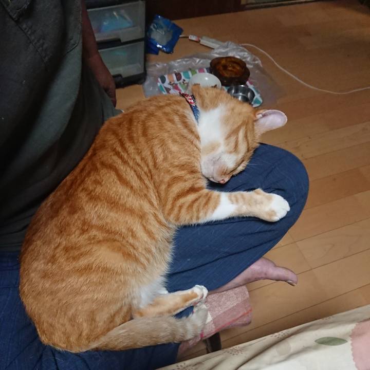 4ab04a48 6066 4ff9 b179 b0c3684c9030 1600030801425