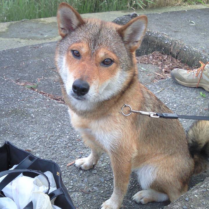 4ab095db 46ae 47df 8c7c 0fbddaeffb0d 1665315570145