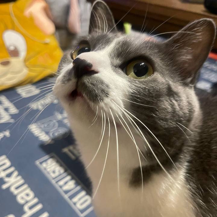 4ab0b4c4 7de2 4c23 ac5b c362850a736d 1732991233681