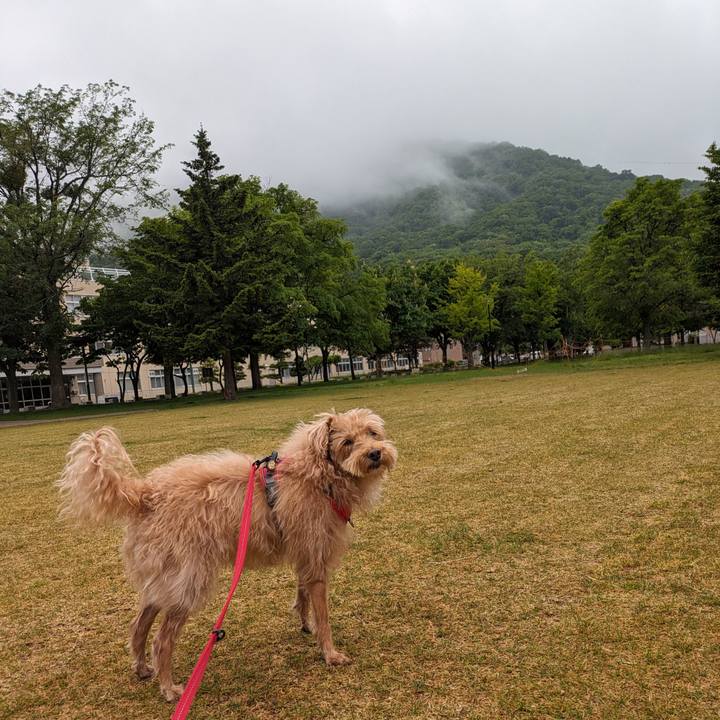 4ab0bf39 c4a1 4ea6 bf60 db5f54457b37 1717551665554