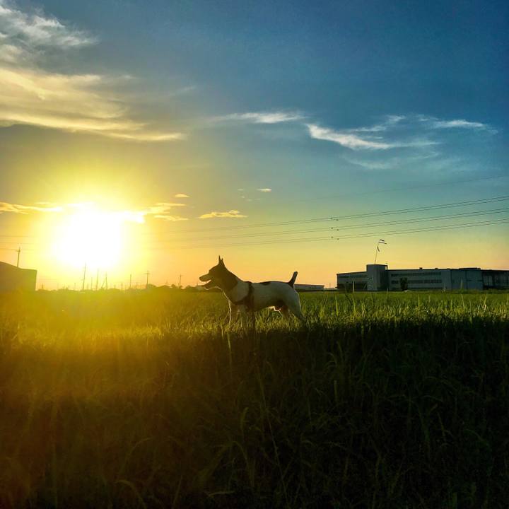 4ab0fdaf 81a2 4730 b724 fec260bb9591 1531223196227