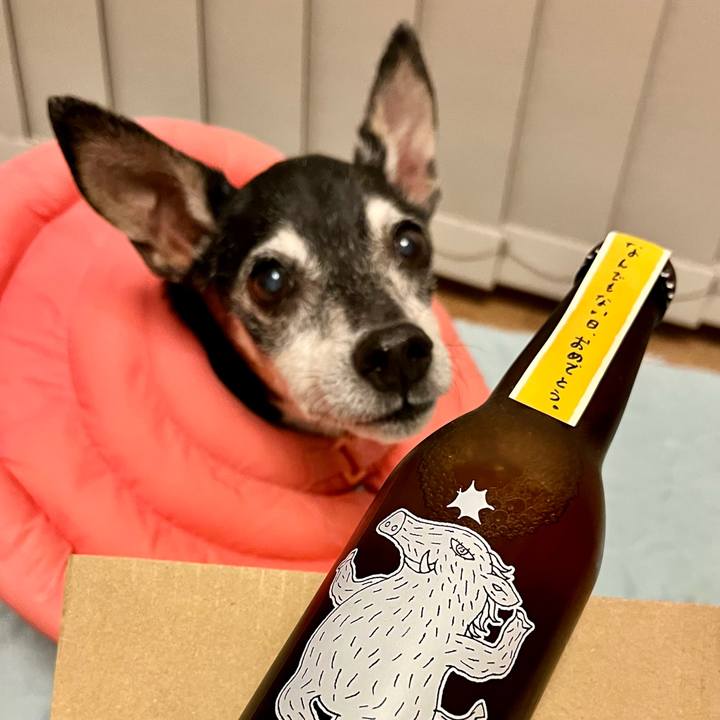 4ab12baa 358f 4493 8be1 52633a158359 1655293384227