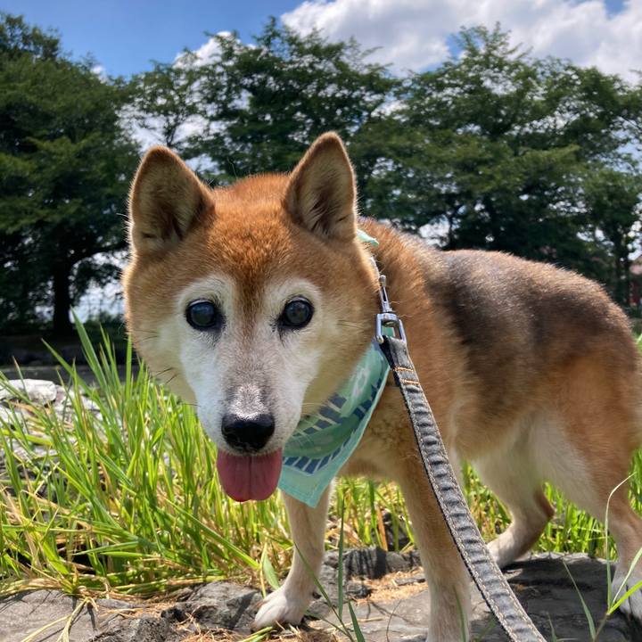 4ab13733 6560 4e38 9e87 a5381e544641 1753961461602