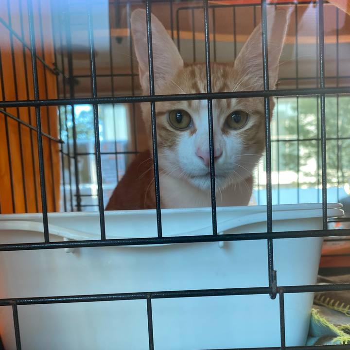 4ab139e2 64bb 47ea a17b 0bbebe2d7ba3 1730600551702