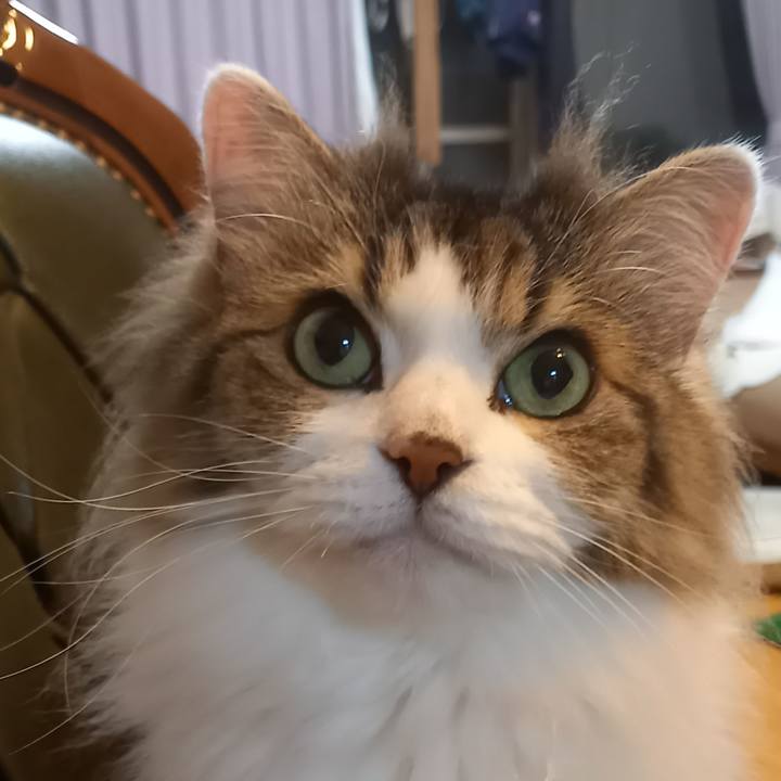 4ab1630c c6b1 4983 b072 c23f2b9035a0 1625396515052