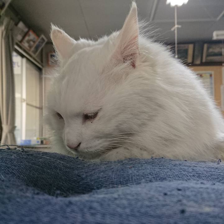 4ab17248 661a 4c26 870b 54bddb8c49ef 1526336741547