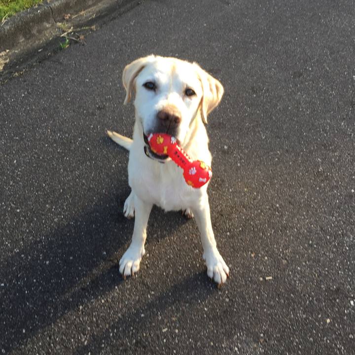 4ab19d00 ab30 4b3d b0c7 9fb382a81202 1653992527529