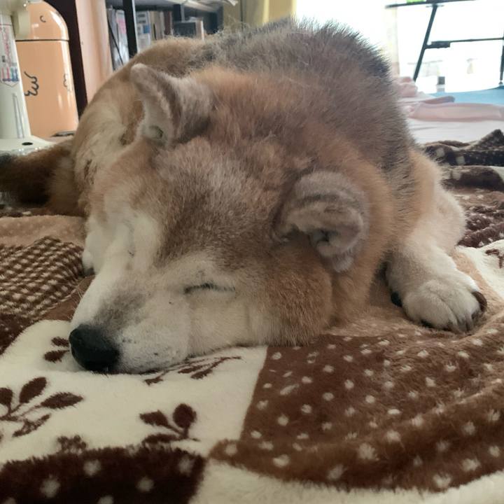 4ab1df44 4142 43fb 961d 62032a284199 1687475017241