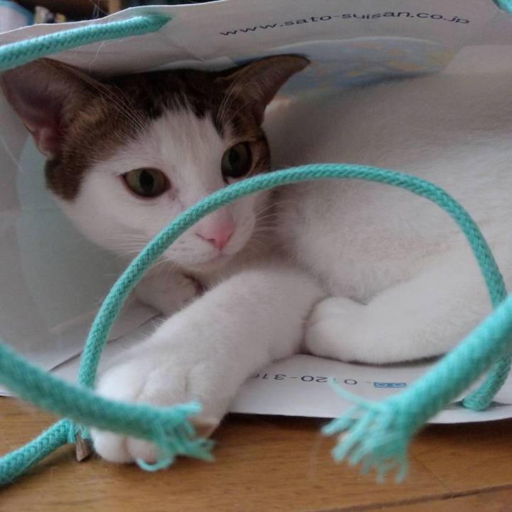 4ab1f20f c0e0 43f7 bcd1 1c2867ab1417 1678267939753