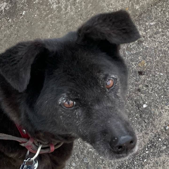 4ab21db1 a31f 4589 9af7 d0cf97ad639c 1653543820333