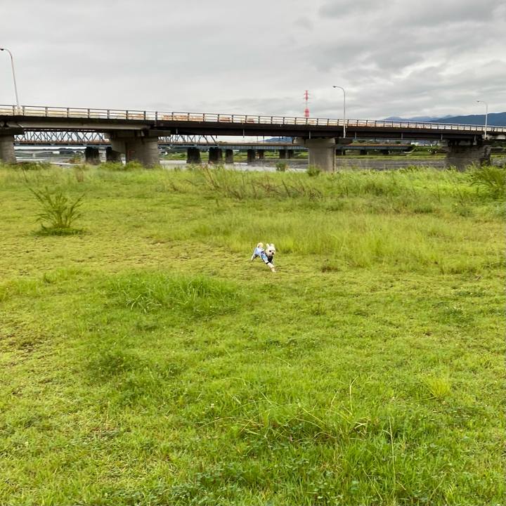 4ab21e08 bbdf 42d5 994d 2ad4bc37a128 1630641105497