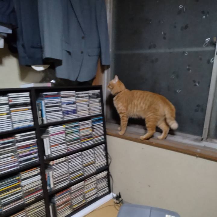 4ab28c99 2e6a 41c5 9bdc 6c795de0da8a 1669023346831