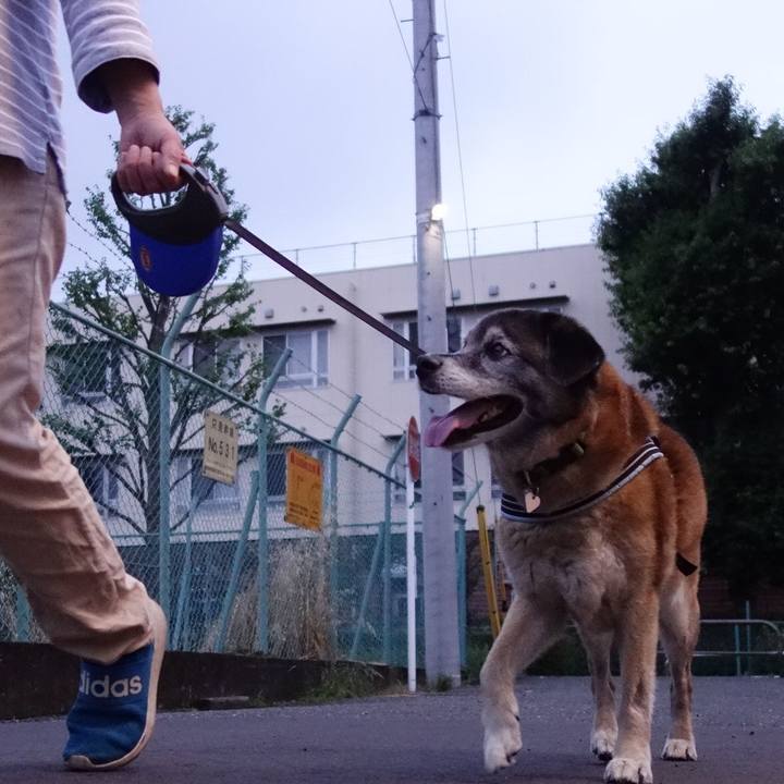 4ab29977 0672 4acf 9c1a ff7681b4d0cc 1561817024993