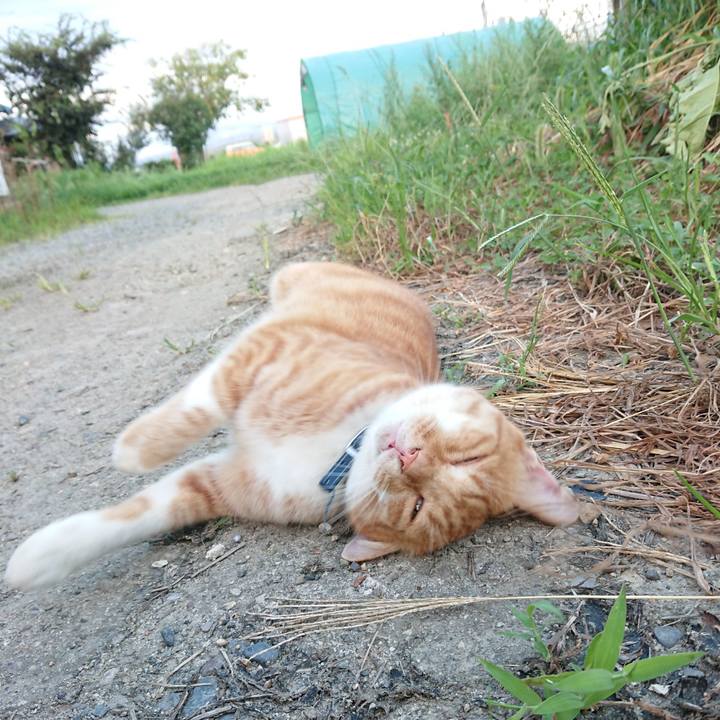 4ab2bafd 8461 4c73 b638 b93e088c43c8 1598952416022