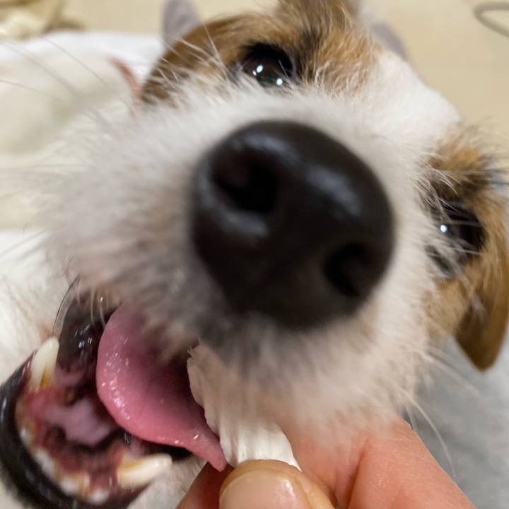 4ab2d966 c02c 4d96 bcaf 3722f2a215b5 1731587217222