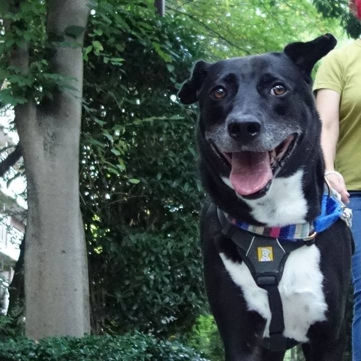 4ab30313 e656 459d bfbd a25eeefc4d75 1660955237985