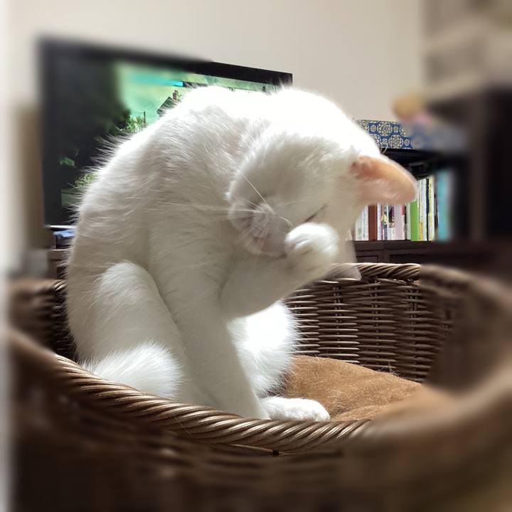 4ab33bd4 48a0 41d2 8f0b 8c9d86d6ef00 1724043708689