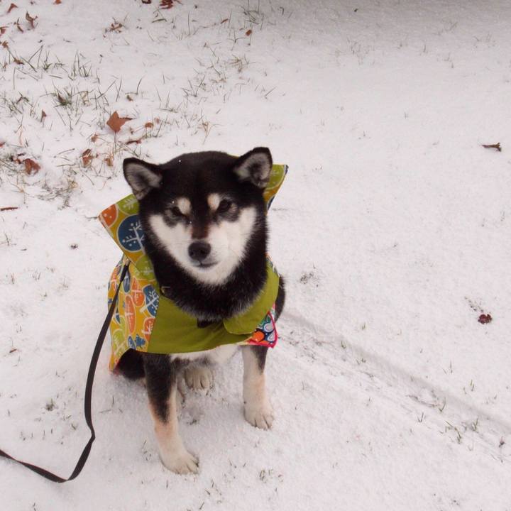 4ab35bb7 b21a 4955 bd1f 72687a54f39f 1580981898199