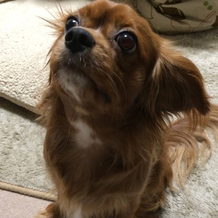 4ab367f9 e1f4 4ab6 8f34 80b95254e709 1517522572427