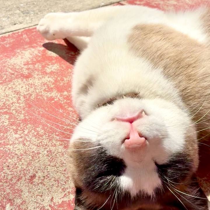 4ab371a2 699f 42a0 8ecd daeb17a7feb4 1745719748331