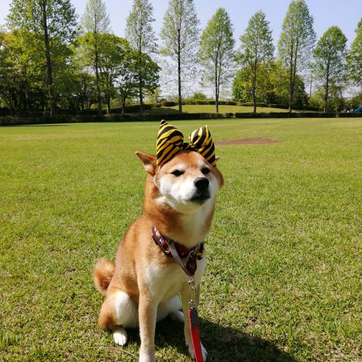 4ab38d70 db2b 4b31 839b e449d3bebb22 1650889809411