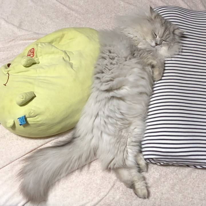 4ab3cddb 3e40 4e57 a356 b7acd8ee722e 1558324826758