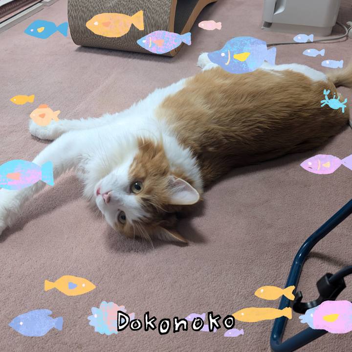 4ab3d8c6 7b49 4c87 9065 6db4296d61dd 1755051496267